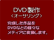 CD&DVD����,DVD�v���X
