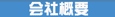 �i���r�f�I����T�[�r�X�T�v(�r�f�I�B�e�EDVD����)