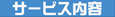 DVD�E�r�f�I����T�[�r�X���e�Љ�